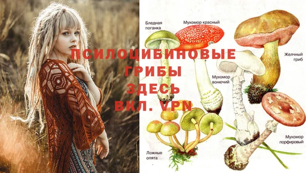спайс Краснослободск